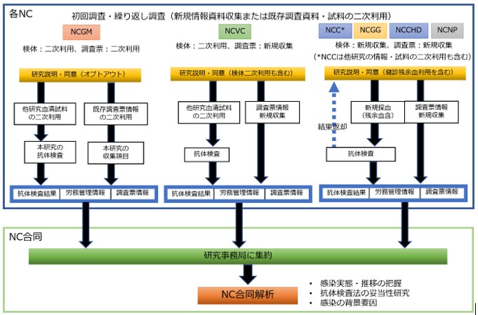 研究アウトライン図