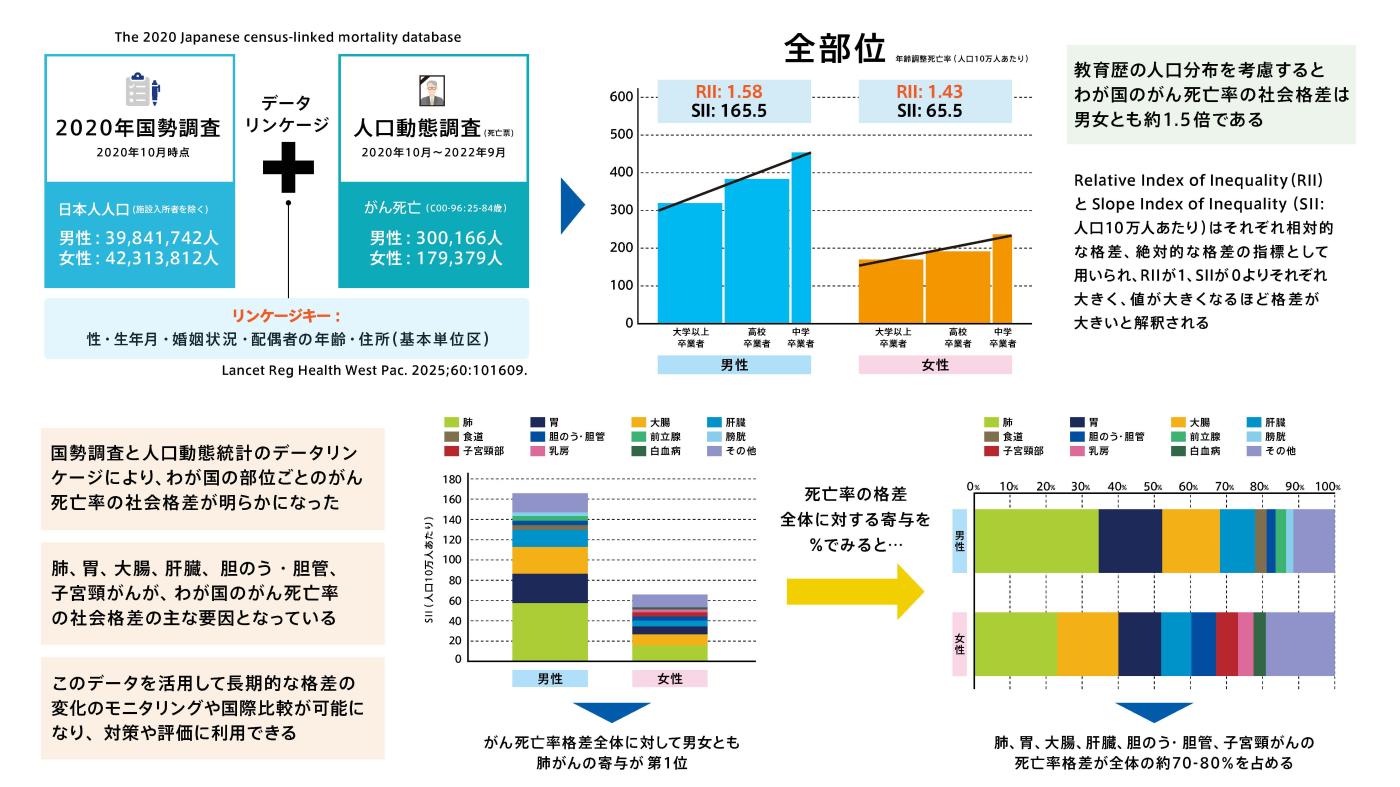 図1教育歴別がん死亡率の分析