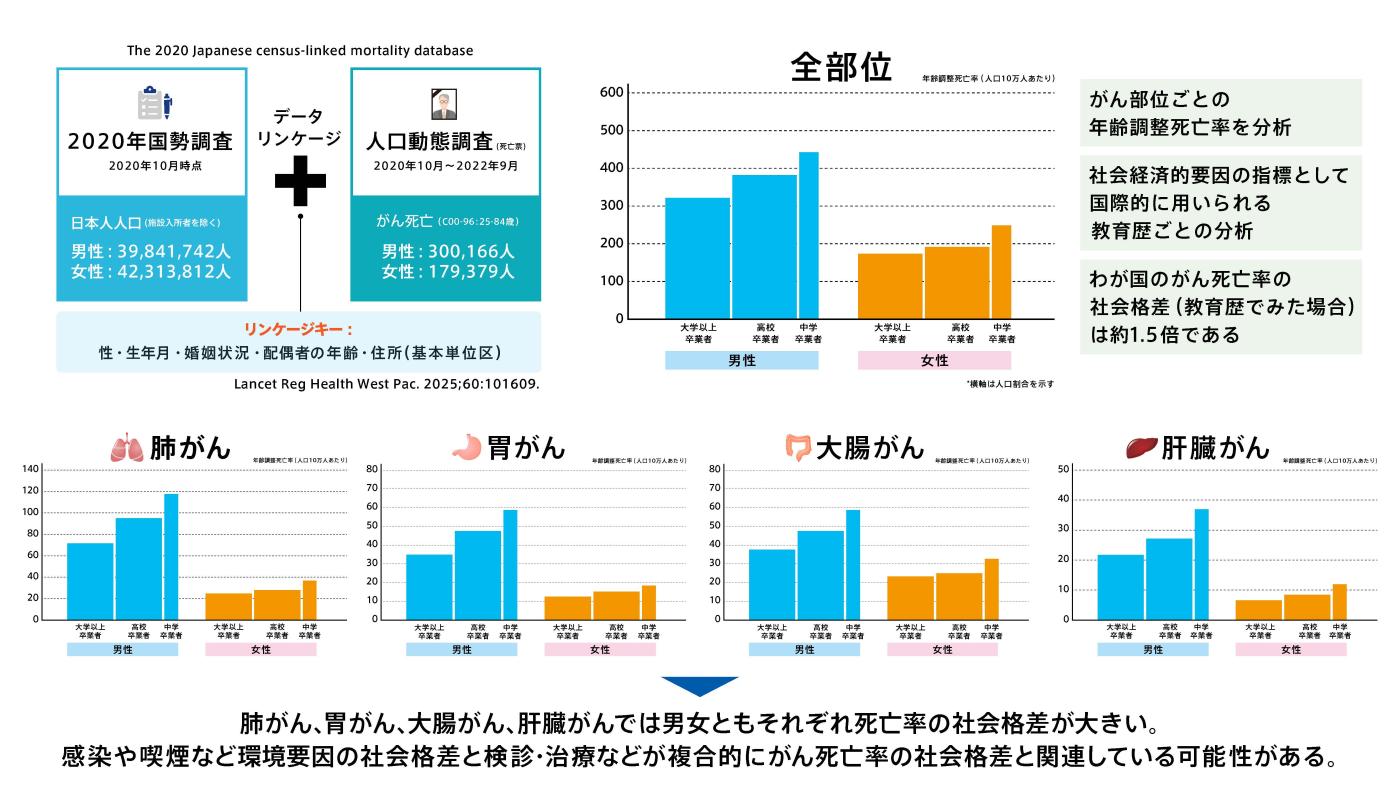 図2教育歴別がん死亡率（主要がん）