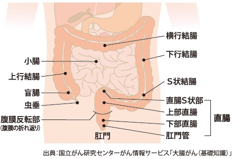 fig1.jpg