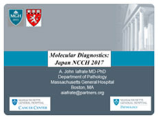 Anthony John Iafrate, MD, PhD (Massachusetts General Hospital) 