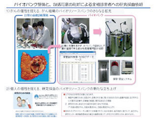 図3．新包括同意によるバイオバンクの構築
