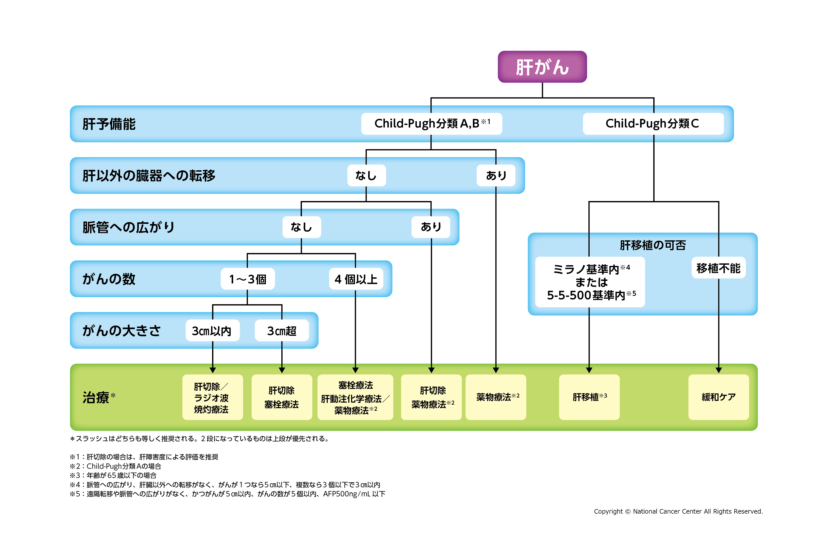 肝がんの治療の選択肢