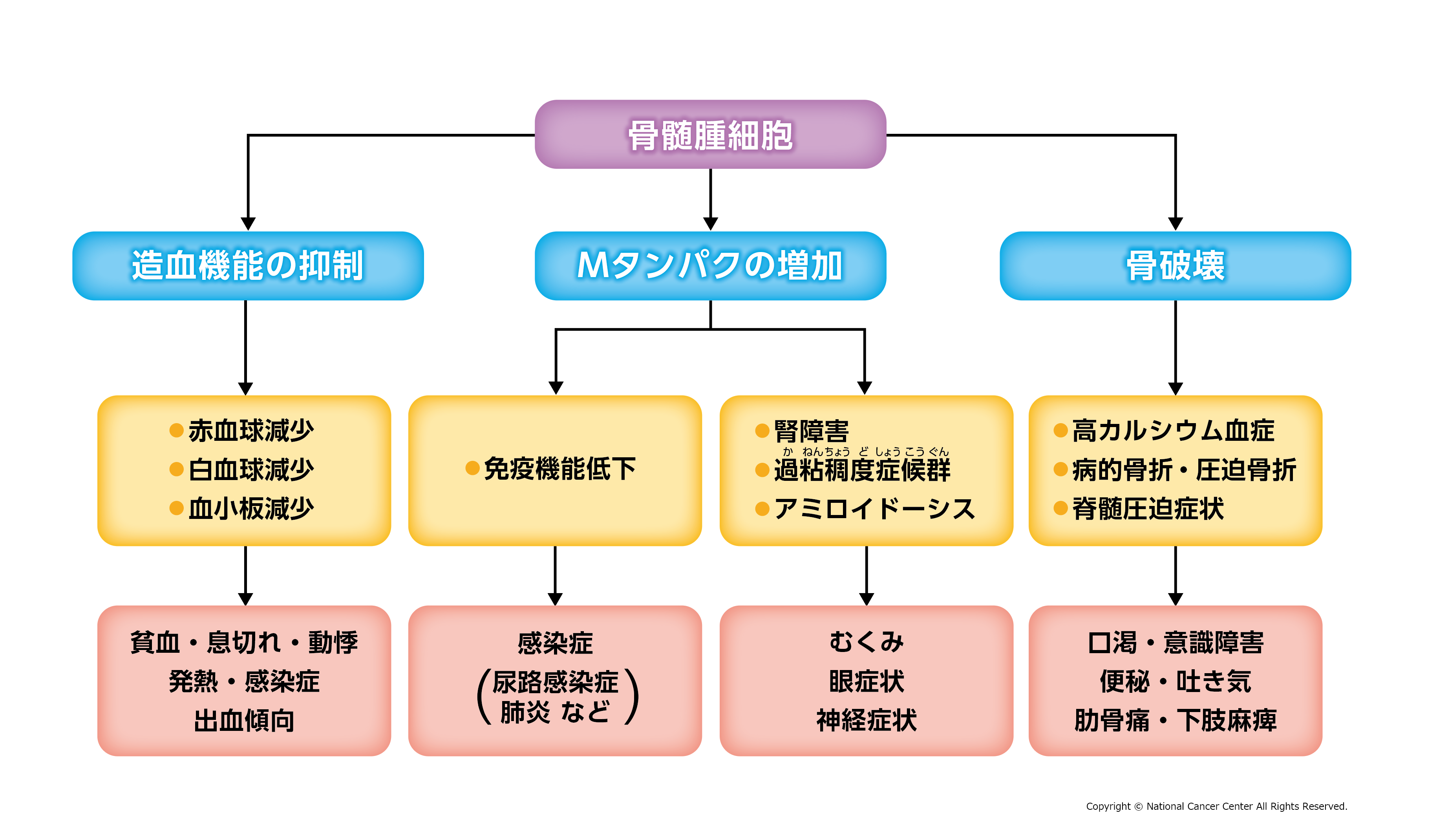 多発性骨髄腫の症状の図