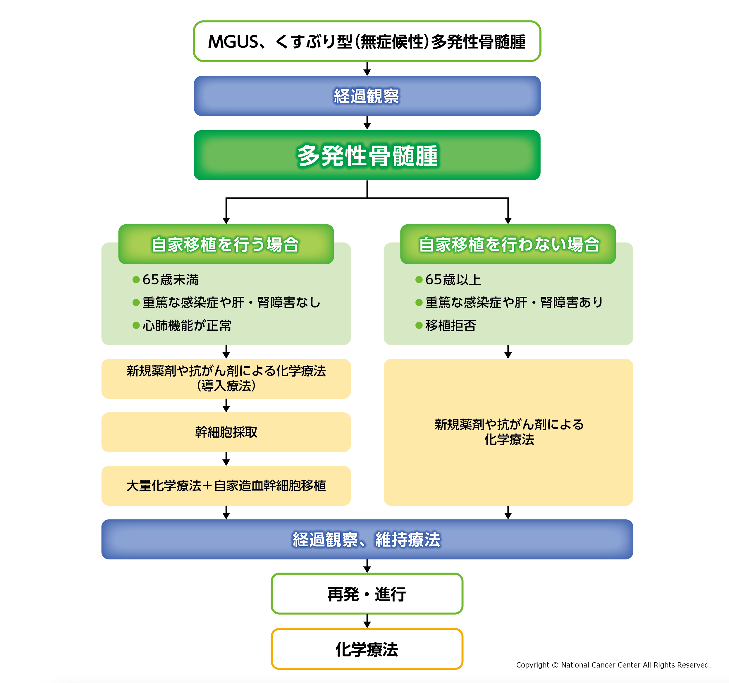 多発性骨髄腫の治療の図
