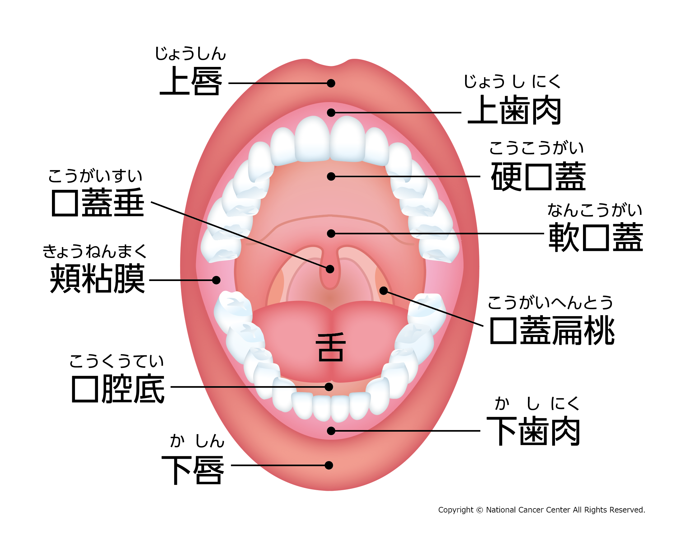 口 の 中 しょっぱい 病気