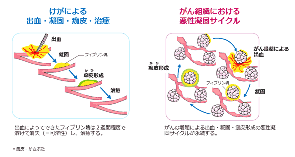 図像1