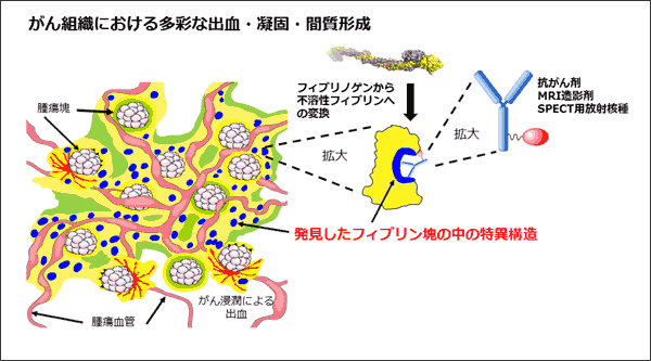 図像2