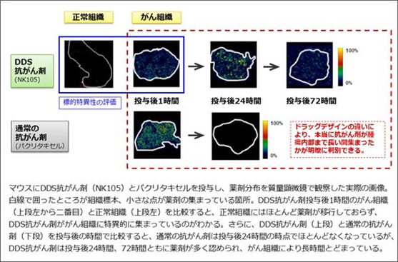 DDS（Drug Delivery System：薬物送達システム）抗がん剤の薬剤分布を高精細画像化し、がん組織に多く長く集まり、かつ正常組織への移行が少ない創薬コンセプトを証明　画像