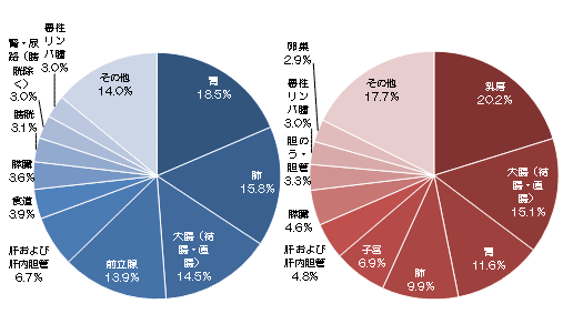 2010年集計　罹患数部位割合の画像