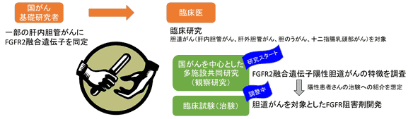 胆道がんで国内初 分子標的薬開発に向けた臨床研究開始図