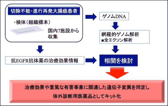 図1