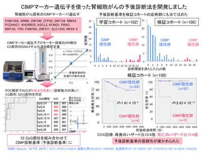 CIMPマーカー遺伝子を使った腎細胞がんの予後診断を開発しました