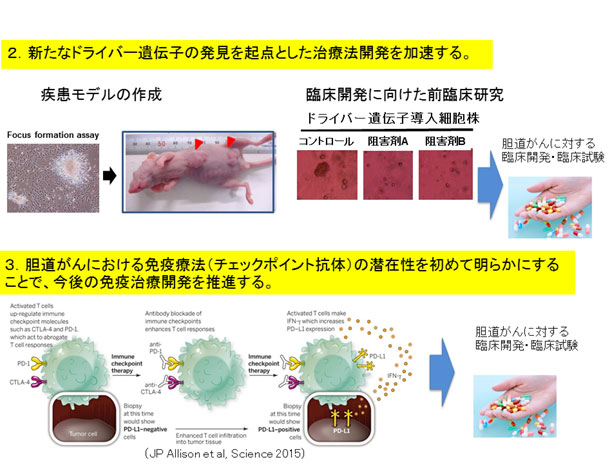 画像5下