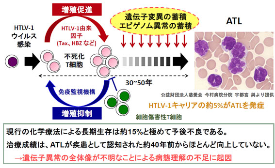 図1