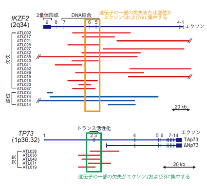 図7