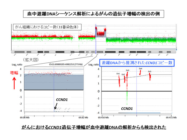 血中遊離DNAシーケンス解析によるがんの遺伝子増幅の検出の例