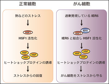 図1