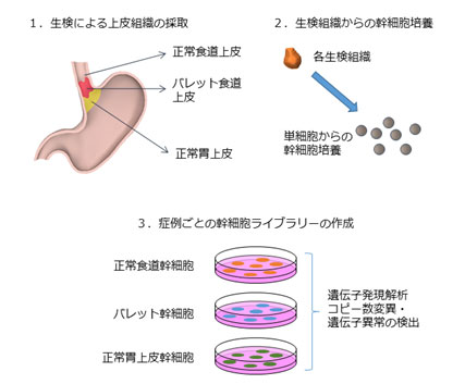 図1