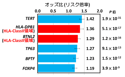 遺伝子の個人差によるEGFR変異陽性肺腺がんへの危険度の違い