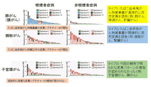 図3　喫煙によって発がんリスクが上昇するがんの3つのタイプ