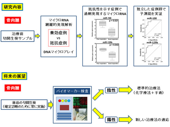 研究内容と将来の展望　図