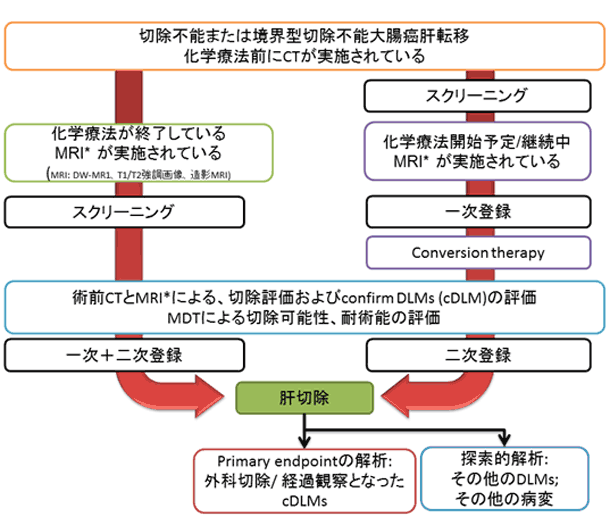 手術で切除できないがんを化学療法で小さくして根治切除を目指す治療法