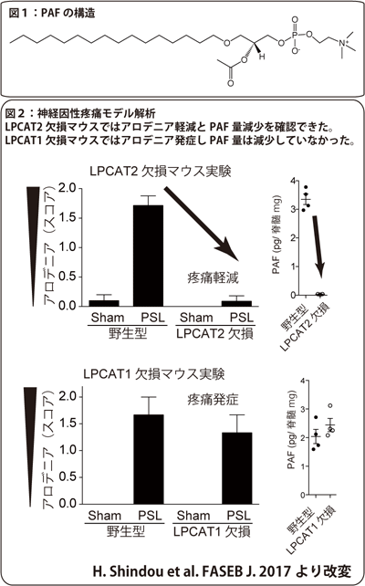 図1と図2