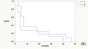 肺がん IV期　75歳以上