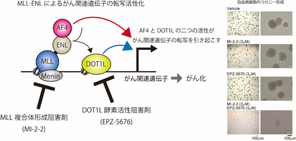 図1