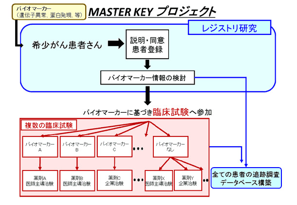 MASTER KEYプロジェクト　図