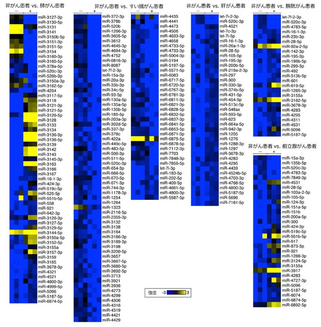 がん患者／非がん患者の発現量に差が確認されたマイクロRNA