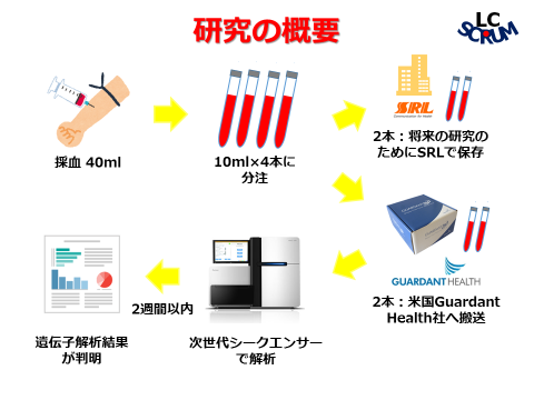 図1：研究の概要