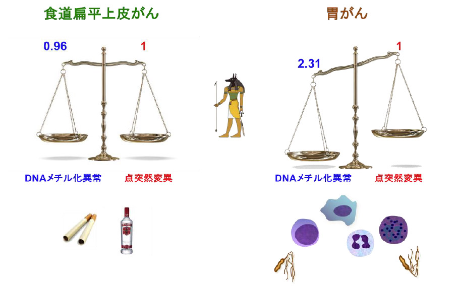 図2 発がん誘発要因と点突然変異とDNAメチル化異常の相対的重要度