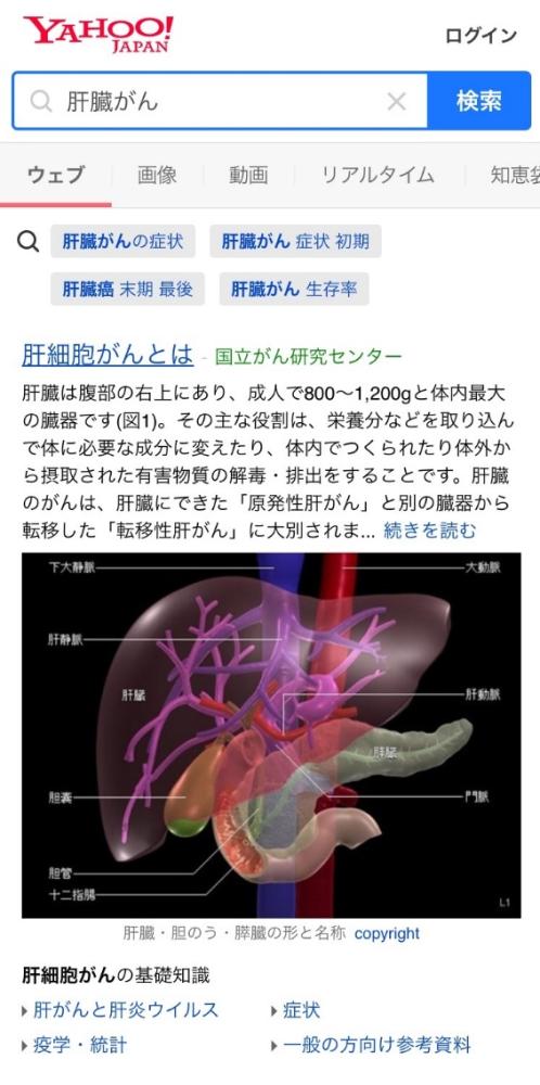 ヤフージャパン表示画面