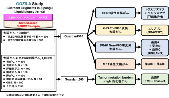 今後の研究について（予定）