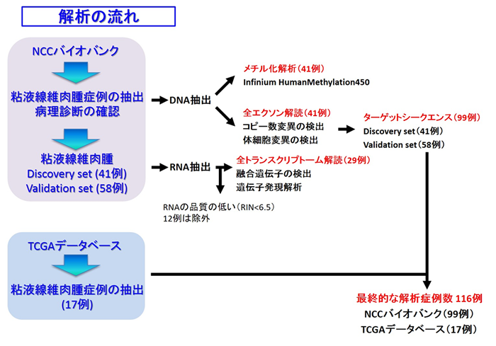 解析の流れ