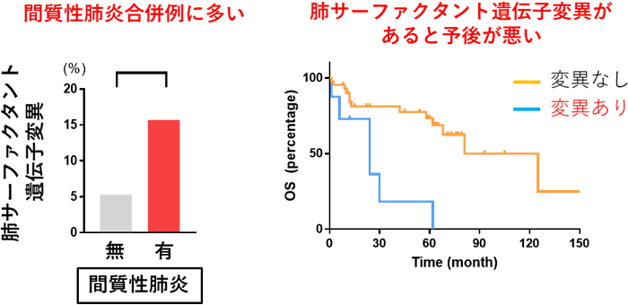 図2 肺サーファクタント遺伝子は間質性肺炎合併例に多く、その予後は不良となる