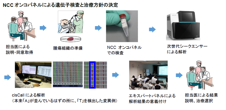 NCCオンコパネルによる遺伝子検査と治療方針の決定の画像