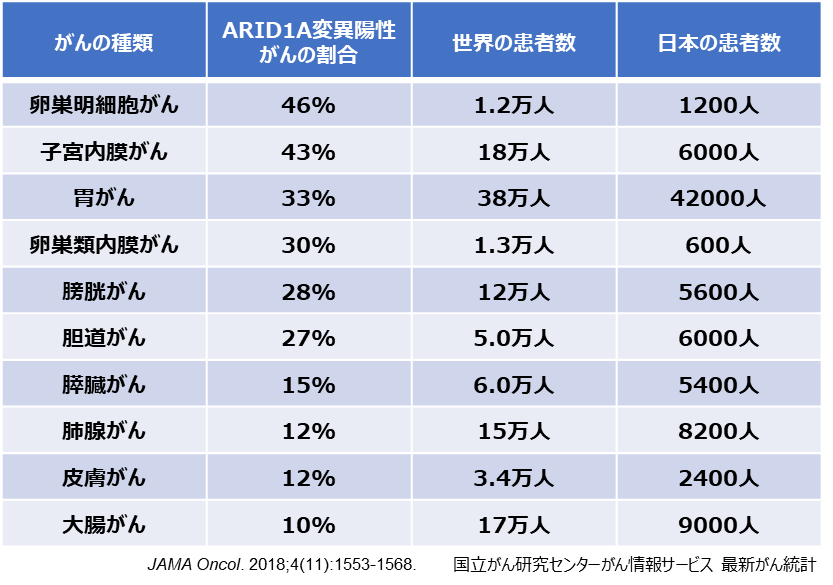 日本人に多い卵巣明細胞がんなどでみられるARID1A遺伝子変異がんを対象に代謝（メタボローム）を標的とした新たながん治療法を発見