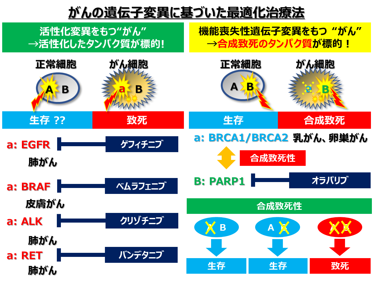 家族性婦人科がんとは何ですか?