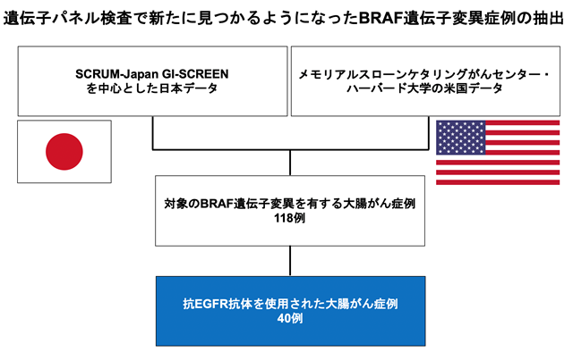 遺伝子パネル検査で新たに見つかるようになったBRAF遺伝子変異症例の抽出の画像