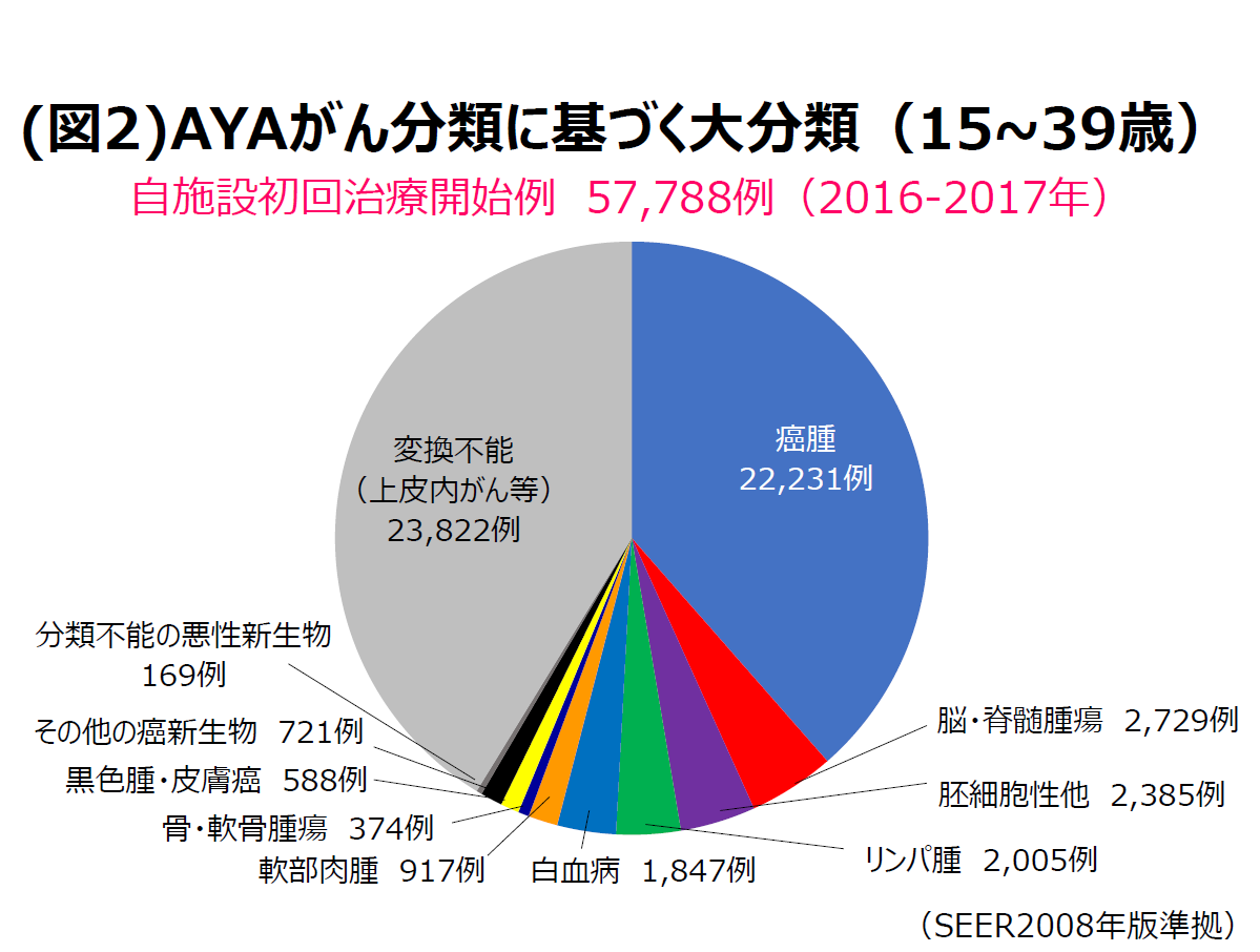 は aya 世代 と