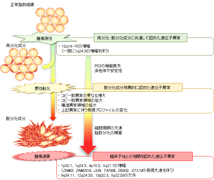 図3