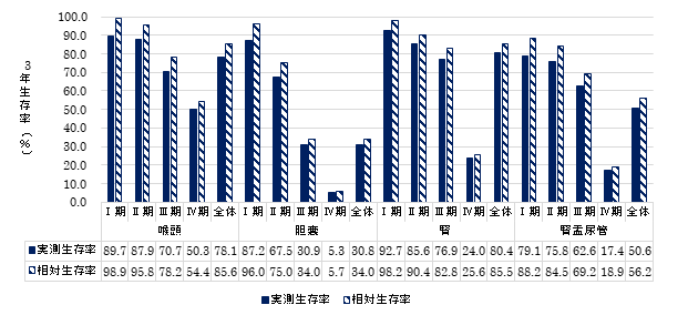 部位・病期別3年生存率_3.png