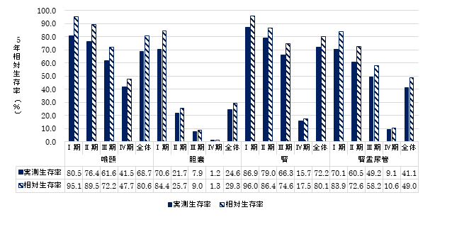 部位・病期別5年生存率_3.png