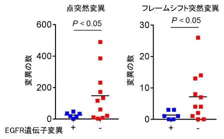 図1. EGFR遺伝子変異の有無による肺がんの体細胞変異数の比較検討