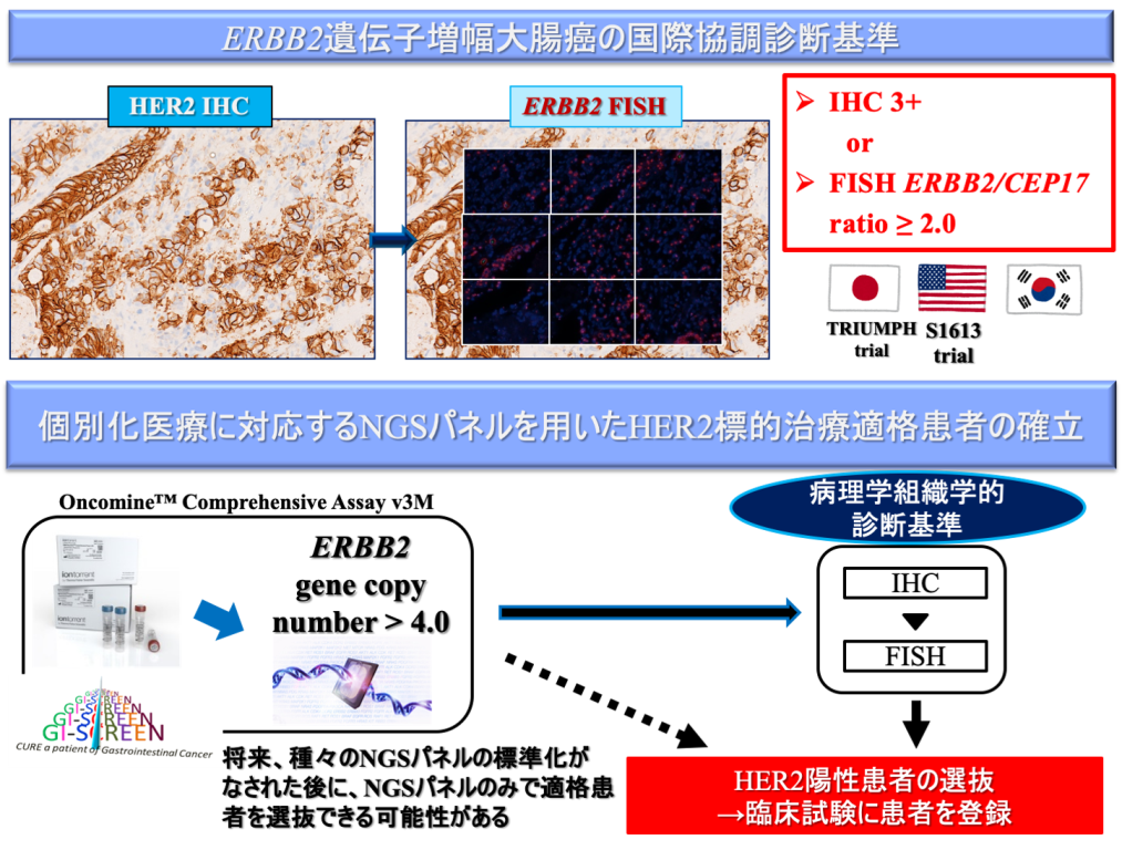 研究概要の図