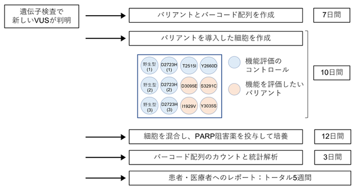 新規VUSに対する迅速な病的意義報告