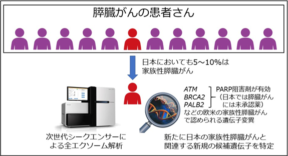 肝臓がんの患者さんの画像